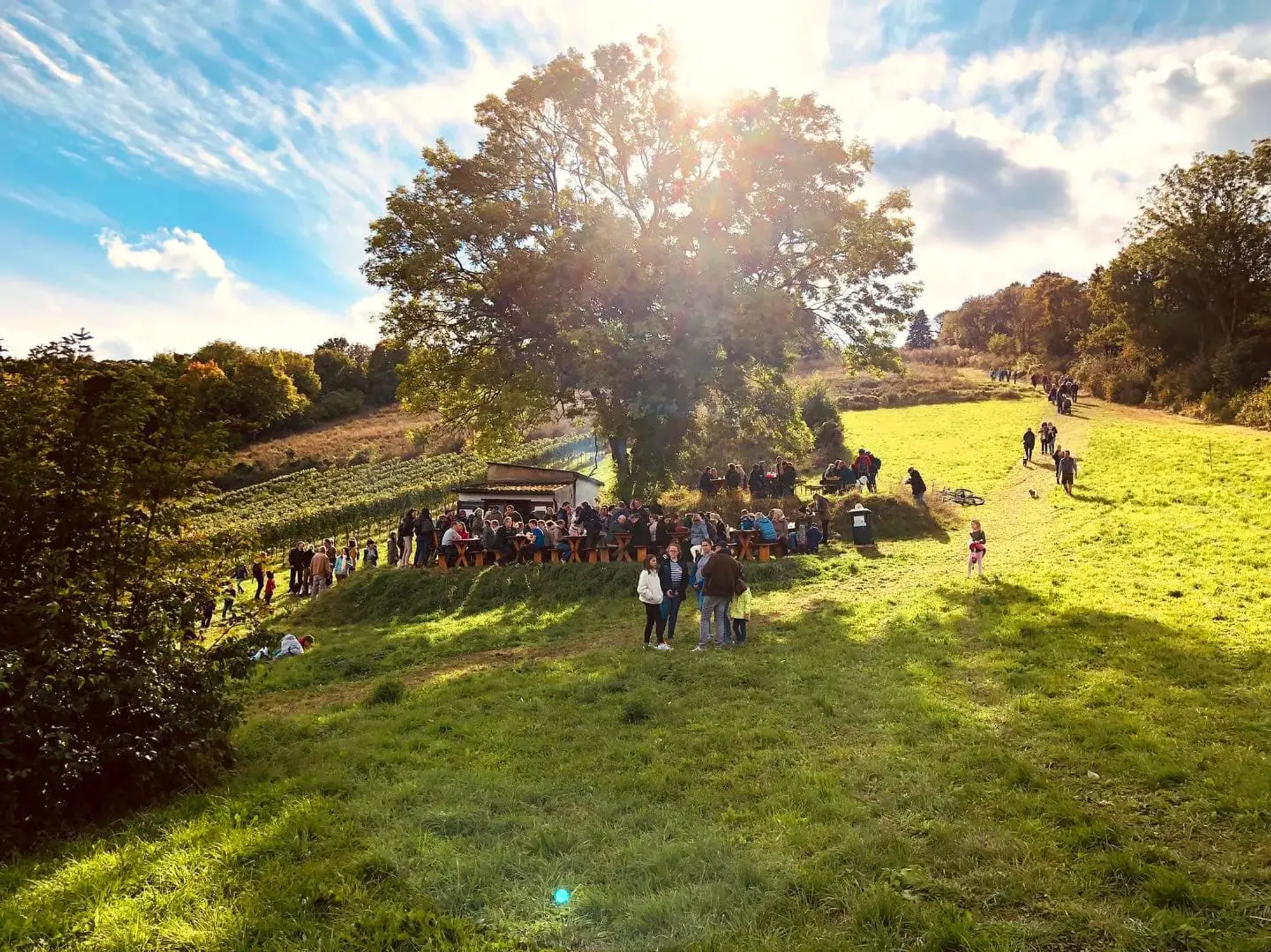 Draußen beim Roemerl
